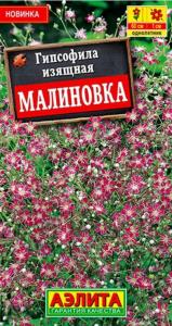Гипсофила Малиновка изящная 0.05г Одн 60см (Аэлита) Гипсофила Малиновка изящная 0.05г Одн 60см (Аэлита)