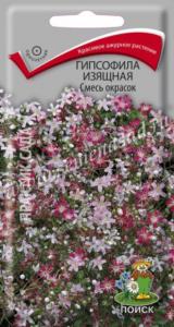 Гипсофила Смесь окрасок изящная 0,2г Одн 60см (Поиск)