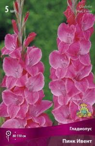 Гладиолус крупноцветковый  Пинк Ивент (светло-розовый, 5шт, 12-14)