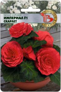 Бегония клубневая Империал Скарлет F1 10шт (Биотехника) Бегония клубневая Империал Скарлет F1 10шт (Биотехника)
