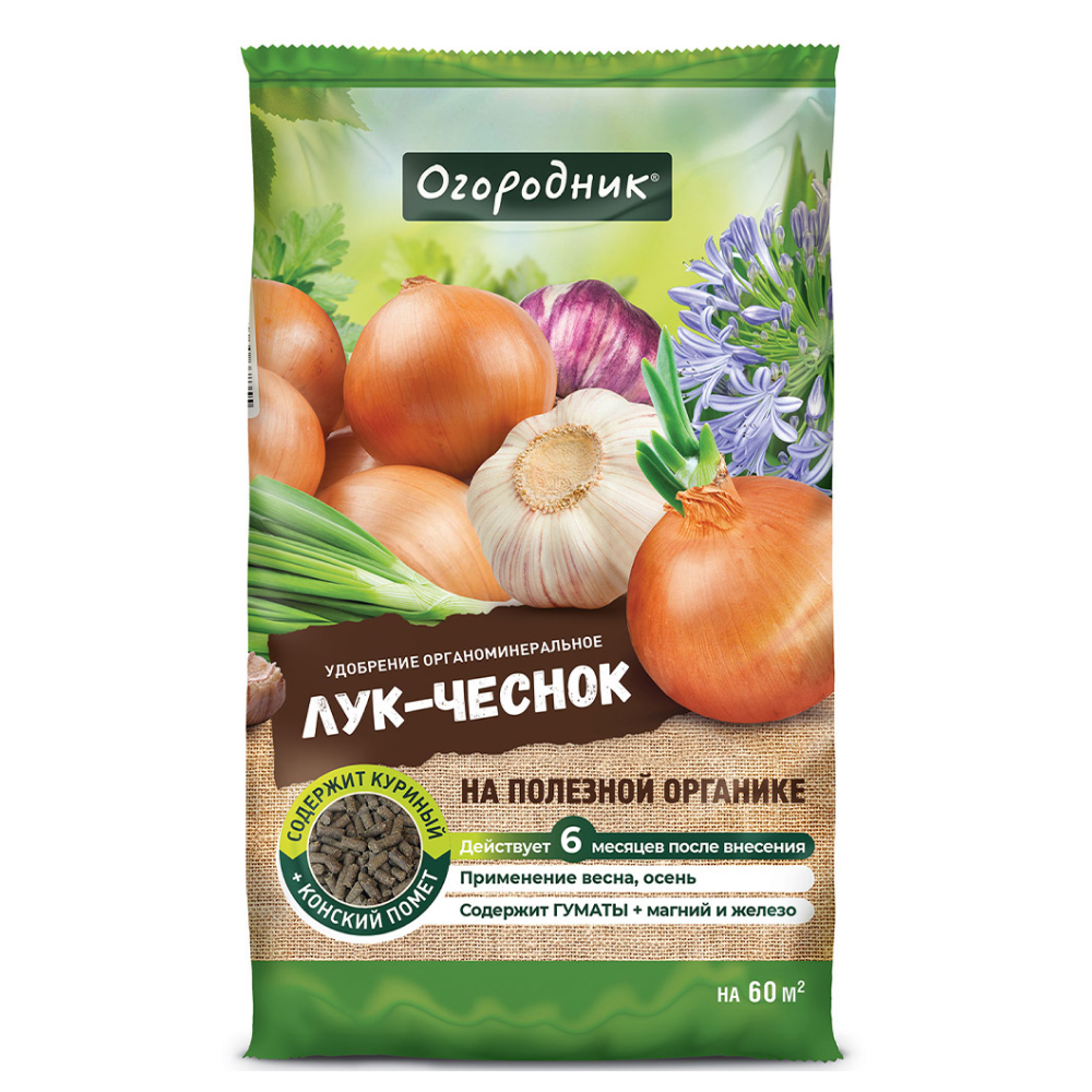 лук 1