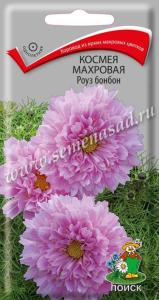 Космея Роуз бонбон махровая 0,1г Одн 80см (Поиск)