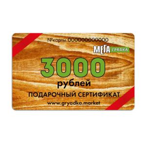 Подарочный сертификат 3000 руб
