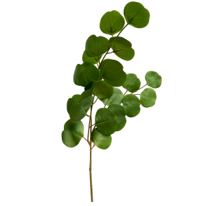 1 1