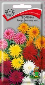 Георгина Кактус фловеред микс (ЦВ)(
