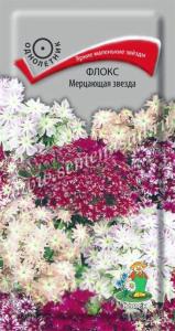 Флокс Мерцающая звезда 0,2г. Поиск Флокс Мерцающая звезда 0,2г. Поиск