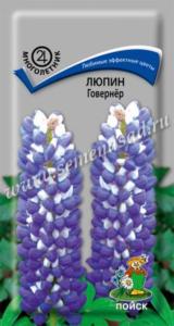 Люпин Говернёр (ЦВ) (