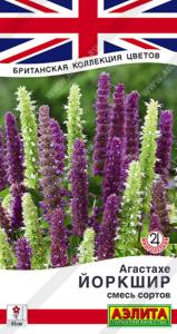Агастахе Йоркшир, смесь сортов ---   Мн Британская коллекция цветов 0,1г