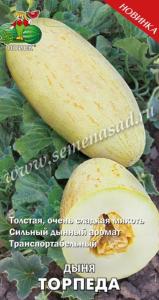 Дыня Торпеда 15шт. Поиск