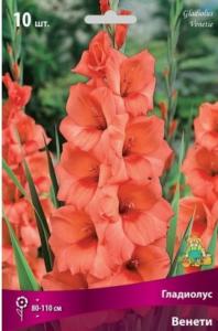 Гладиолус крупноцветковый Венети 10шт (лососево-розовый, 10/12)