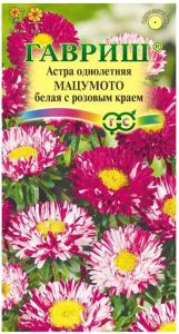 Астра Мацумото белая с розовым краем 0,3г Одн 65см (Гавриш)