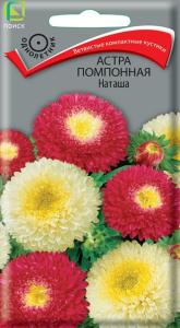 Астра Наташа помпонная 0,3г Одн 50см (Поиск)
