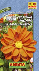 Георгина Фигаро ,махр.,оранжевый Аэл.
