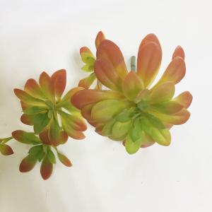 Исскуственные цветы суккулент h18см 9165-50