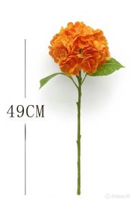 diting_result_8dbd2bc3a9dc11f19b3262569497eb2e_1