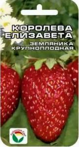 Земляника (Клубника) Королева Елизавета(Сиб. сад.)