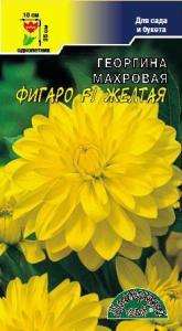 Скриншот 09-01-2023 112031