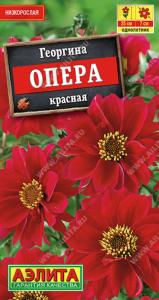 Георгина Опера красная ---   Одн