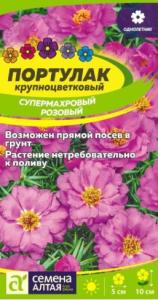 Скриншот 20-08-2026 133549