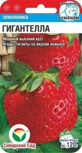 Земляника (Клубника) Гигантелла (Сиб. сад.) Земляника (Клубника) Гигантелла (Сиб. сад.)