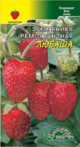 Земляника Любаша Цвет.сад.