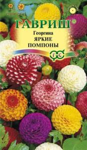 Георгина Яркие помпоны 0,2г Одн смесь 100см (Гавриш)