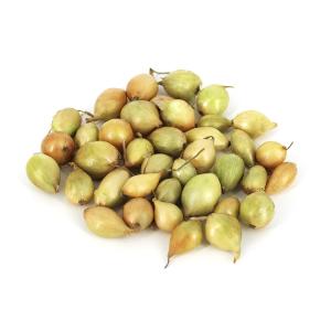 Лук-севок Сеншуй (желтый) 14-21 20кг Чувашия Лук-севок Сеншуй (желтый) 14-21 20кг Чувашия