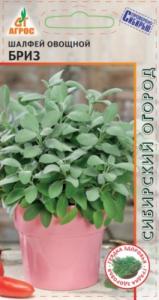 Шалфей Бриз 0,5г (Агрос) Германия