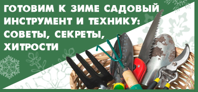 Готовим к зиме садовый инструмент и технику: советы, секреты, хитрости  Готовим к зиме садовый инструмент и технику: советы, секреты, хитрости