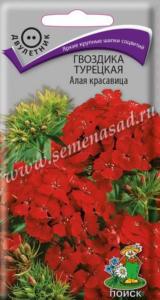 Гвоздика турецкая Алая красавица 0,5г Дв 50см (Поиск)