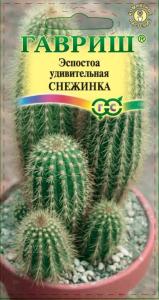 Эспостоа удивительная Снежинках 5 шт (Гавриш)