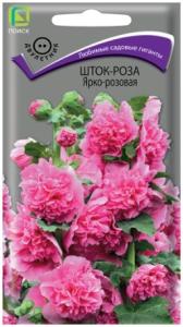 Скриншот 24-06-2026 131216
