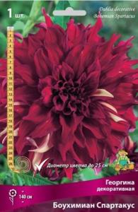Георгина декоративная Боухимиан Спартакус