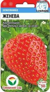 Земляника (Клубника) Женева (Сиб. сад.)
