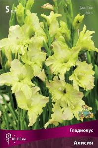 Скриншот 13-03-2025 102947