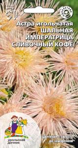 Астра Шальная императрица сливочный кофе игольчатая 0,2г Одн 70см (УД)