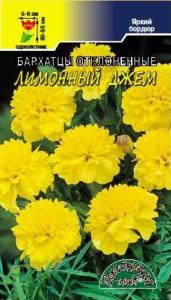 Бархатцы (Тагетес) Лимонный Джем 0.1г (Цвет сад) Бархатцы (Тагетес) Лимонный Джем 0.1г (Цвет сад)