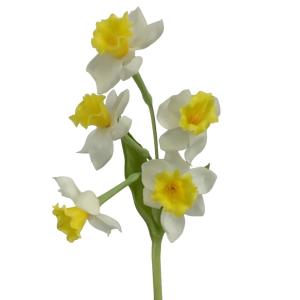 Искусственные цветы Нарцисс из силикона h37см