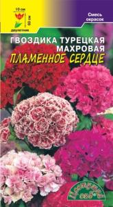Гвоздика турецкая Пламенное сердце, махр.смесь Цвет.Сад