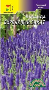 Лаванда Сиреневый закат 0,1г Мн 40см (Цвет сад)