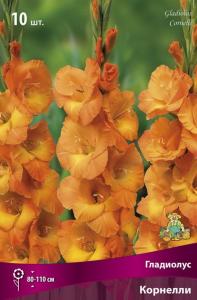 Гладиолус крупноцветковый Корнелли 10шт (медно-оранжевый, 10/12)