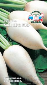 Редька Мюнхенская Пивная (Седек)