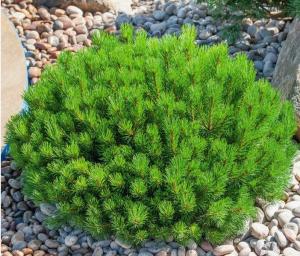 Скриншот 21-04-2026 105121