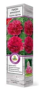 Пион древовидный Король Цветов 1шт (цветок красно-черный)