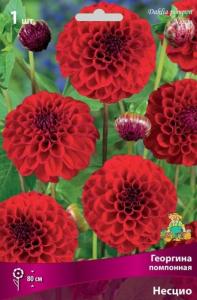 Георгина помпонная Несцио (махровый, красный, диаметр цветка 6 см, устойчив к неблагоприятн, 1шт, I)