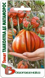 Томат Тлаколула де Матаморос -Биотехника