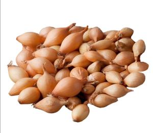 Лук-севок Сеттон (желтый) 10-21 20кг Ср Лук-севок Сеттон (желтый) 10-21 20кг Ср