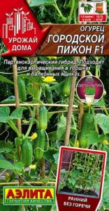 Огурец Городской пижон F1 Партен Ранн (Аэлита)