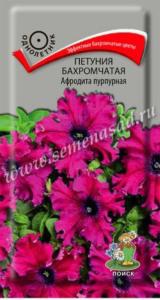 Петуния Афродита Пурпурная 10шт.бахр. Поиск