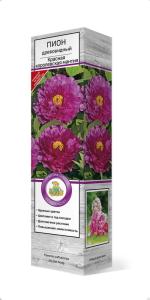 Пион древовидный Красная королевская мантия